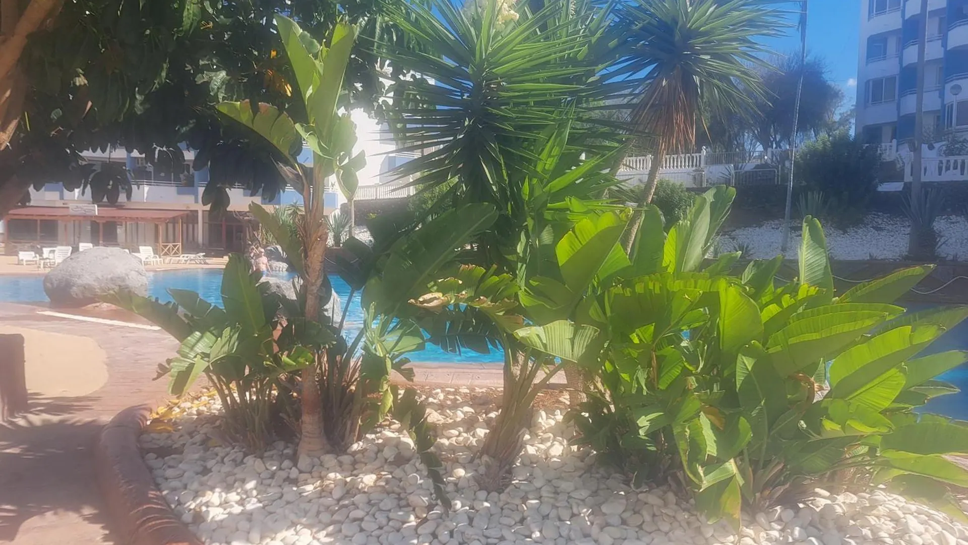 Apartamento A&V Studio In Green Park San Miguel de Abona